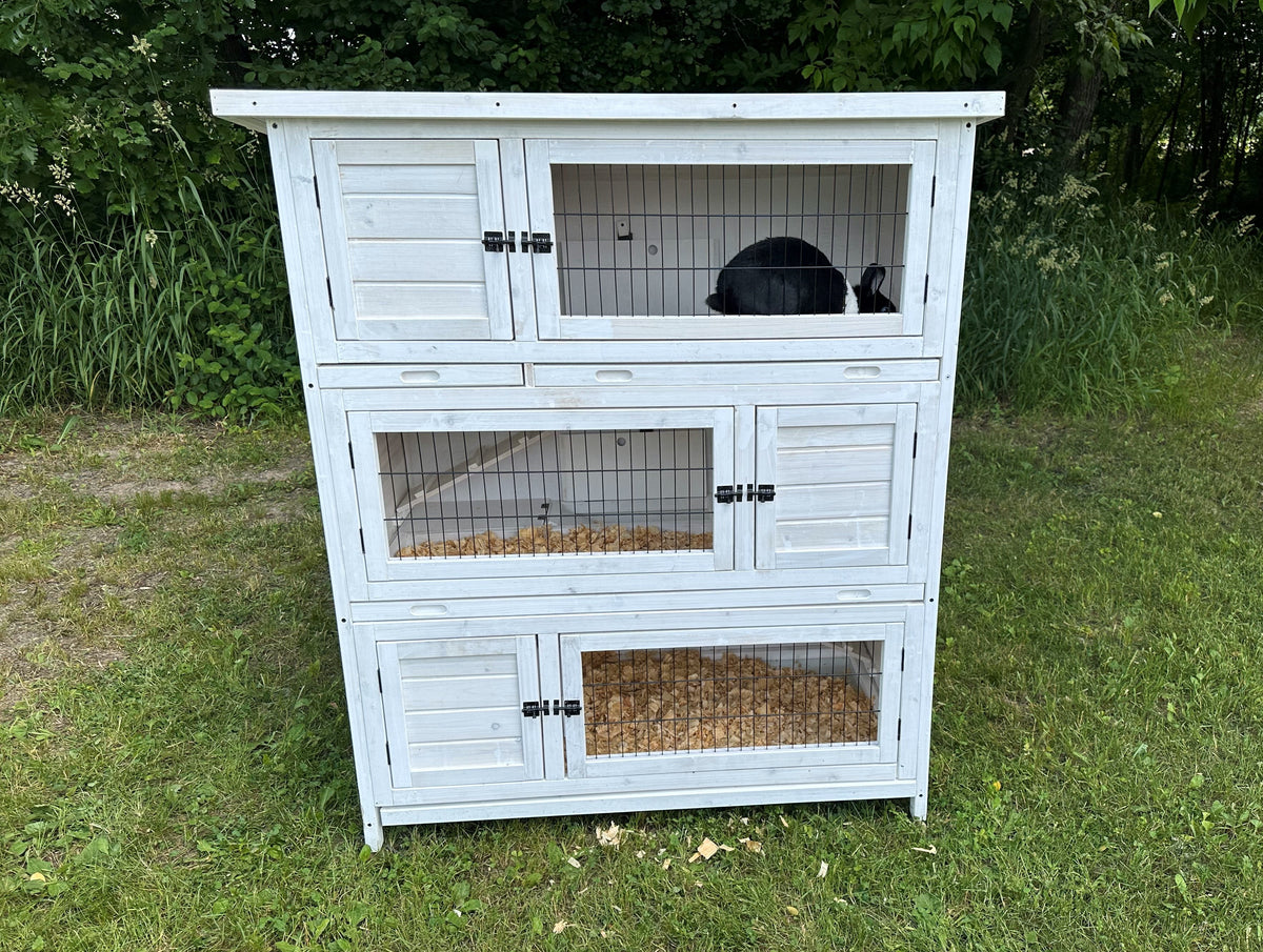 Modern rabbit high quality hutch