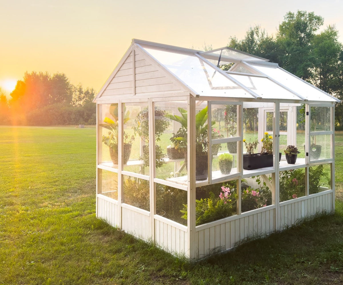 Hobby Greenhouse - XL (DDP-1866L) – Zylina