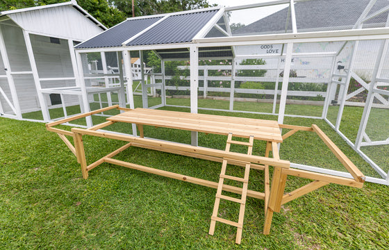 Best Rest Nesting Box Table With Ramp (DDP-2361)