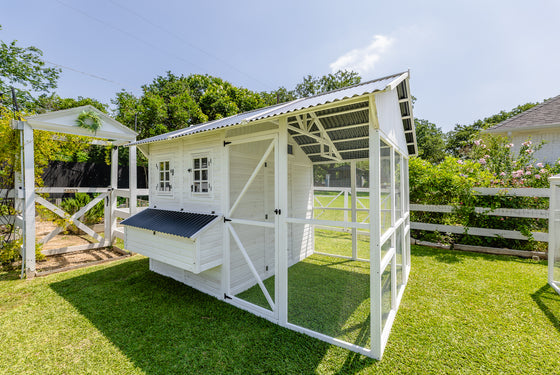 Modern Chicken Barn (DDP-1553PVC)