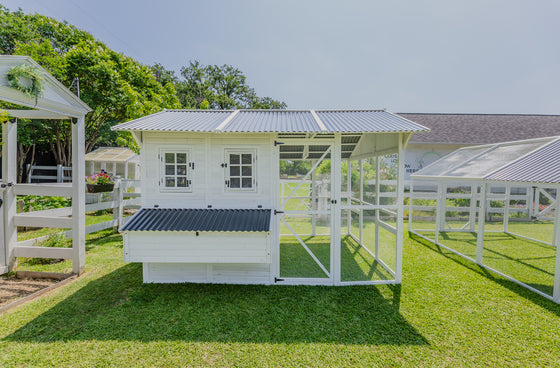 Modern Chicken Barn (DDP-1553PVC)