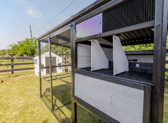 Modern Ultraguard Large Metal Framed Chicken Coop