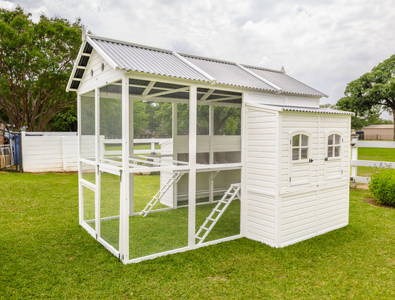 Modern Countryside Open Concept Chicken Coop (DDP-1554PVC)