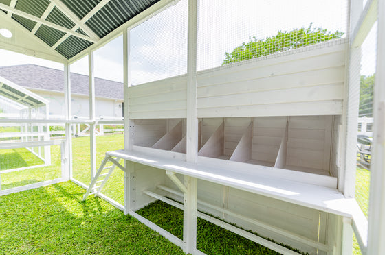 Modern Countryside Open Concept Chicken Coop (DDP-1554PVC)