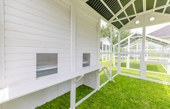 Modern Countryside Open Concept Chicken Coop (DDP-1554PVC)