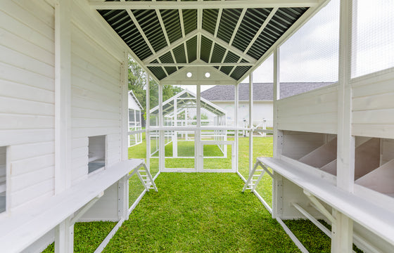 Modern Countryside Open Concept Chicken Coop (DDP-1554PVC)