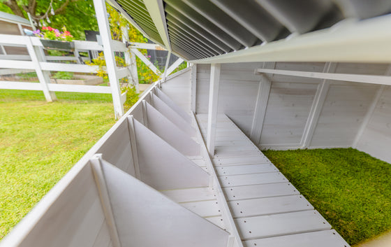 Modern Chicken Barn (DDP-1553PVC)