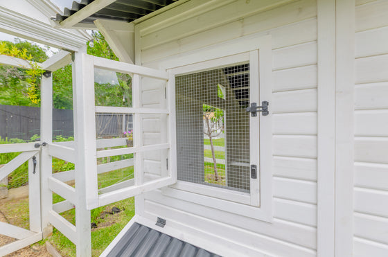 Modern Chicken Barn (DDP-1553PVC)