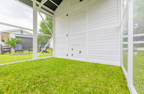 Modern Chicken Barn (DDP-1553PVC)
