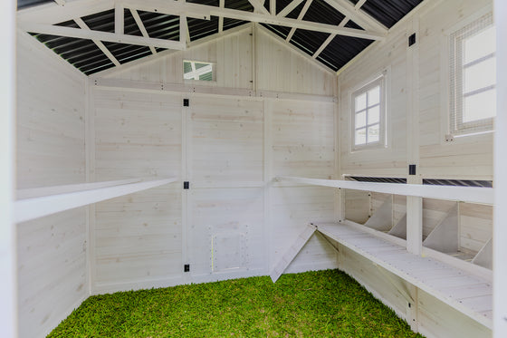 Modern Chicken Barn (DDP-1553PVC)