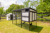 Modern Ultraguard Large Metal Framed Chicken Coop