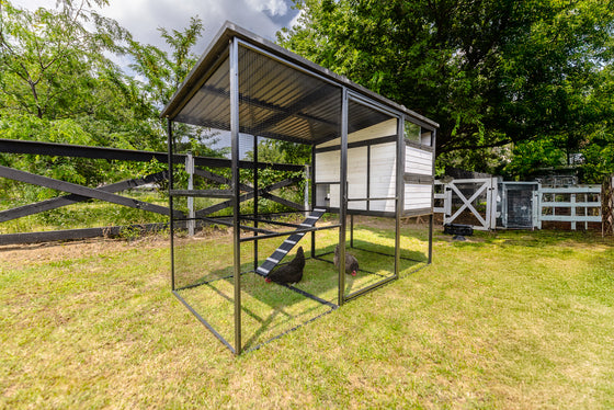 Modern Ultraguard Large Metal Framed Chicken Coop