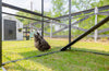 Modern Ultraguard Large Metal Framed Chicken Coop