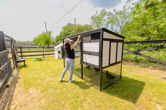 Modern Ultraguard Large Metal Framed Chicken Coop