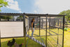 Modern Ultraguard Large Metal Framed Chicken Coop