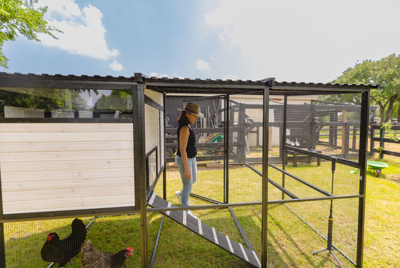 Modern Ultraguard Large Metal Framed Chicken Coop