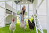 Modern Countryside Open Concept Chicken Coop (DDP-1554PVC)