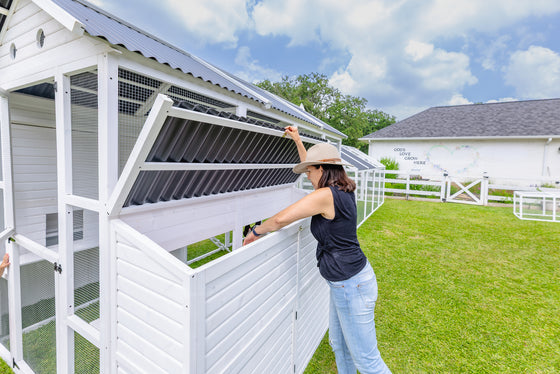 Modern Countryside Open Concept Chicken Coop (DDP-1554PVC)