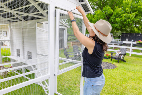 Modern Countryside Open Concept Chicken Coop (DDP-1554PVC)