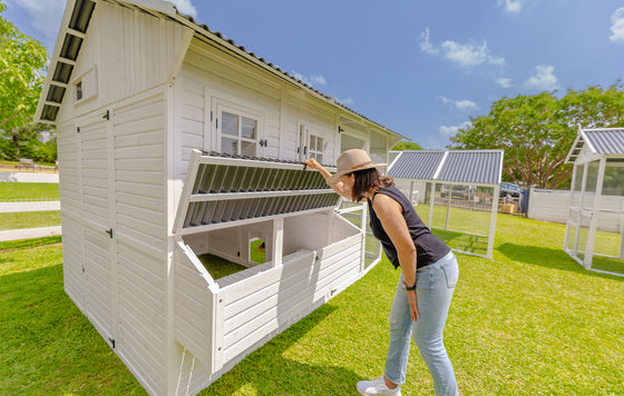 Modern Chicken Barn (DDP-1553PVC)