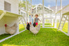 Modern Countryside Open Concept Chicken Coop (DDP-1554PVC)