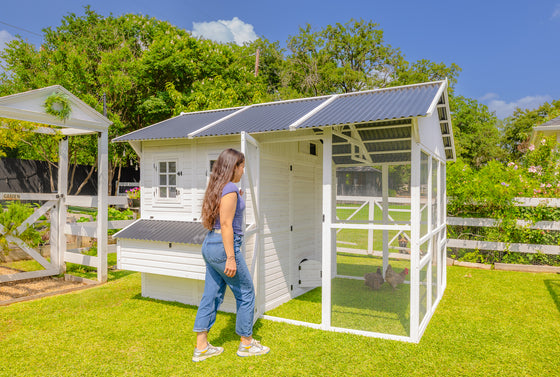Modern Chicken Barn (DDP-1553PVC)