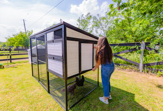 Modern Ultraguard Large Metal Framed Chicken Coop