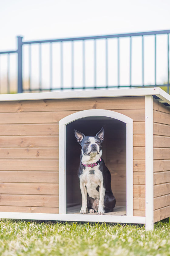 Log Cabin Dog House - PVC Roof (DDP-0965LPVC)