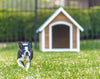 Country Lodge Dog House - PVC Roof (DDP-1568LPVC)