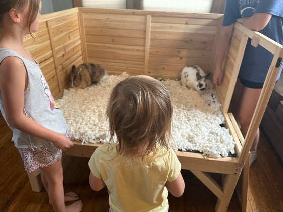 Raised Guinea Pig & Rabbit House (DDP-2332C)