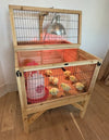 Raised Brooder for Chicks