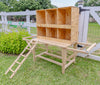 Best Rest 6 Bay Nesting Box for Chickens (DDP-2428)