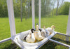 Modern Duck Barn (DDP-1559LPVC)