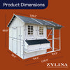 Modern Chicken Barn Coop – Spacious, Durable Chicken Houses (DDP-1553PVC)