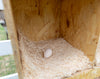 Best Rest Triple Nesting Box (DDP-2292L)