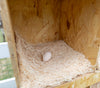 Best Rest 5 Bay Nesting Box (DDP-2326)
