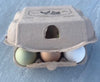 Zylina Egg Carton (6 Eggs) – 100 Pack (Z-Eggs6-100)