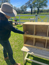 Best Rest 6 Bay Nesting Box for Chickens (DDP-2428)