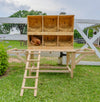 Best Rest 6 Bay Nesting Box for Chickens (DDP-2428)