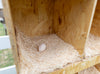 Best Rest 6 Bay Nesting Box for Chickens (DDP-2428)