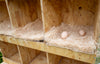 Best Rest 6 Bay Nesting Box for Chickens (DDP-2428)