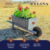 Rustic Wheelbarrow Planter (DDP-1855)