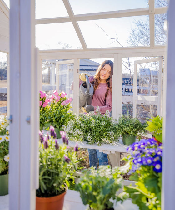 Hobby Greenhouse