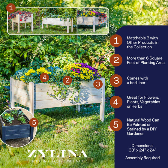 Raised Garden Planter Collection- 38"(L) x 24"(W) x 22"(H) (DDP-2168L)