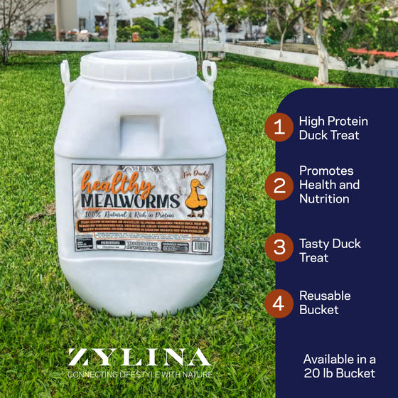 Healthy Mealworms for Ducks 20lb Bucket (ZMW-003)