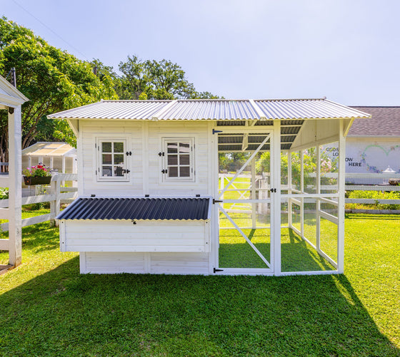 Modern Chicken Barn (DDP-1553PVC)