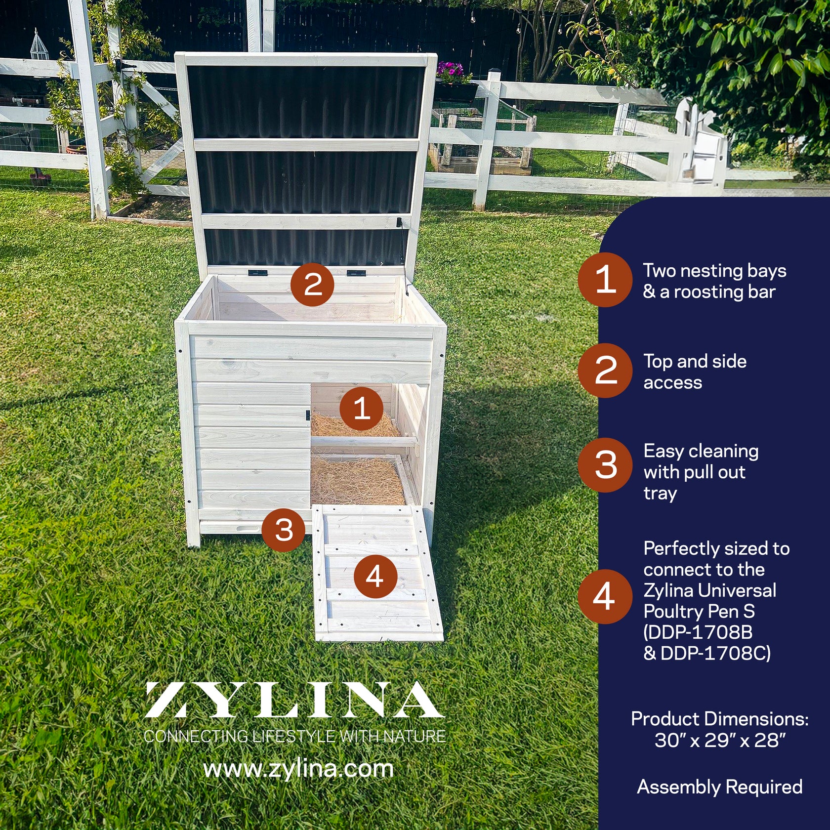 Modern Nesting & Roosting Box (DDP-1734W) – Zylina