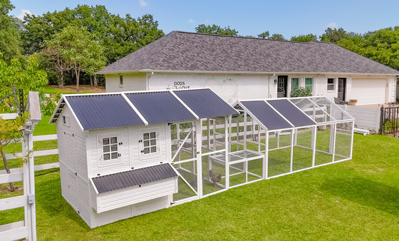 Modern Chicken Barn & Modern Universal Poultry Pen Combo Offer