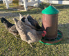 Zylina Eco Recycled Chicken Feeder 35 lbs (G-11236)