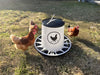 Chicken Feeder 26 lbs - Black (Z-FBL)